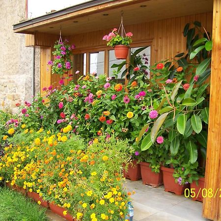 Hotel Comfort Veliko Tarnovo Ngoại thất bức ảnh